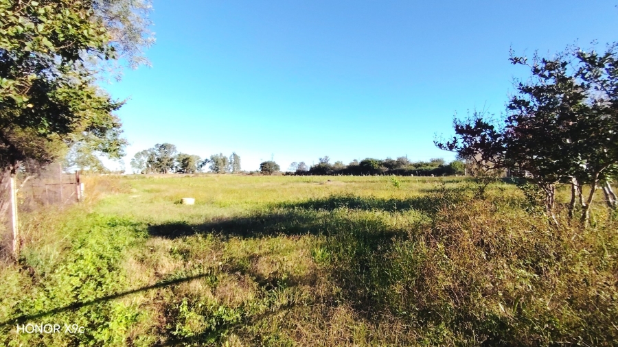 Commercial Property for Sale in Sherman Park Gauteng