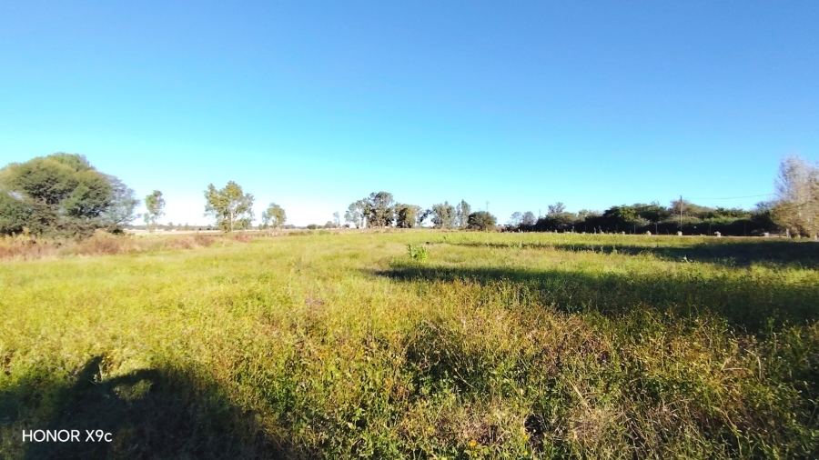Commercial Property for Sale in Sherman Park Gauteng