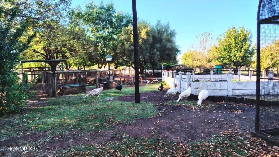 Commercial Property for Sale in Sherman Park Gauteng