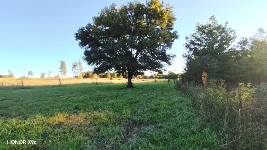 Commercial Property for Sale in Sherman Park Gauteng