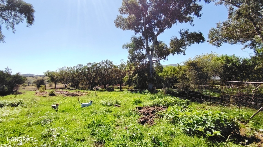 Commercial Property for Sale in Meyerton Rural Gauteng