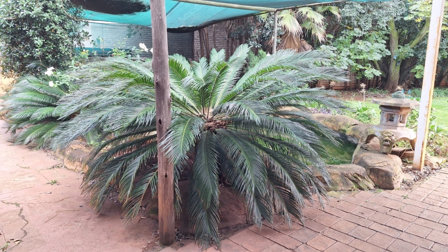 3 Bedroom Property for Sale in Henley on Klip Gauteng
