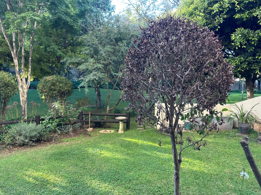 3 Bedroom Property for Sale in Sandton Central Gauteng