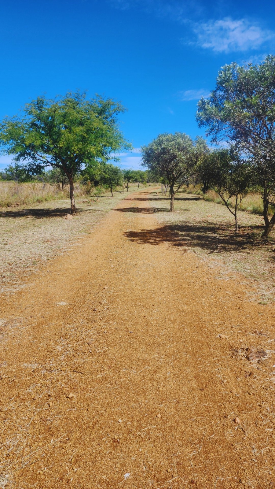 Commercial Property for Sale in Roodeplaat Gauteng