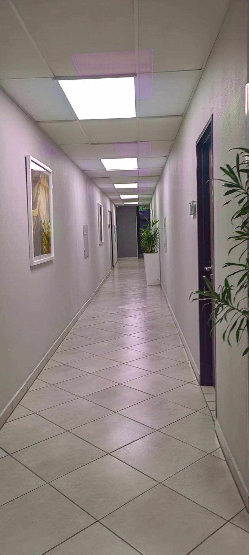 1 Bedroom Property for Sale in Rosebank Gauteng