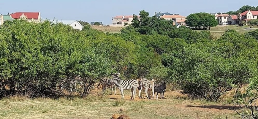 Commercial Property for Sale in Waterlake Farm Lifestyle Estate Gauteng