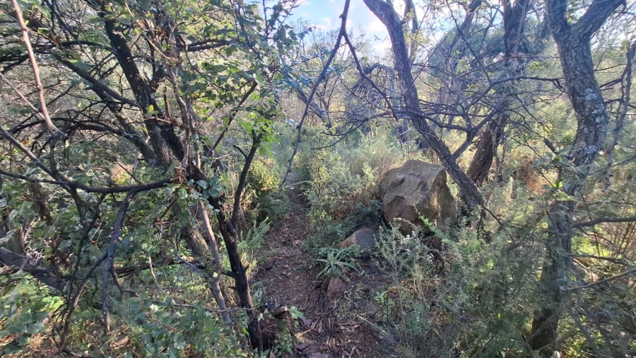 Commercial Property for Sale in Blesboklaagte Gauteng