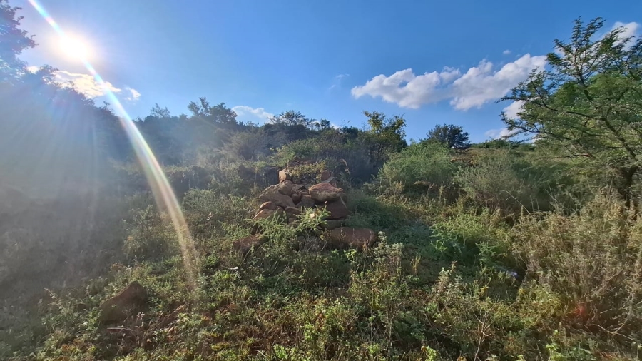 Commercial Property for Sale in Blesboklaagte Gauteng