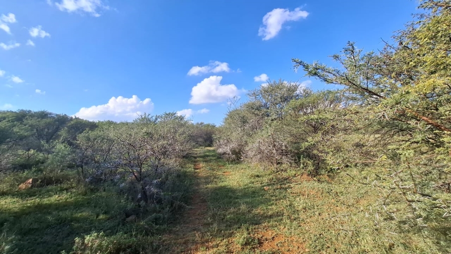 Commercial Property for Sale in Blesboklaagte Gauteng