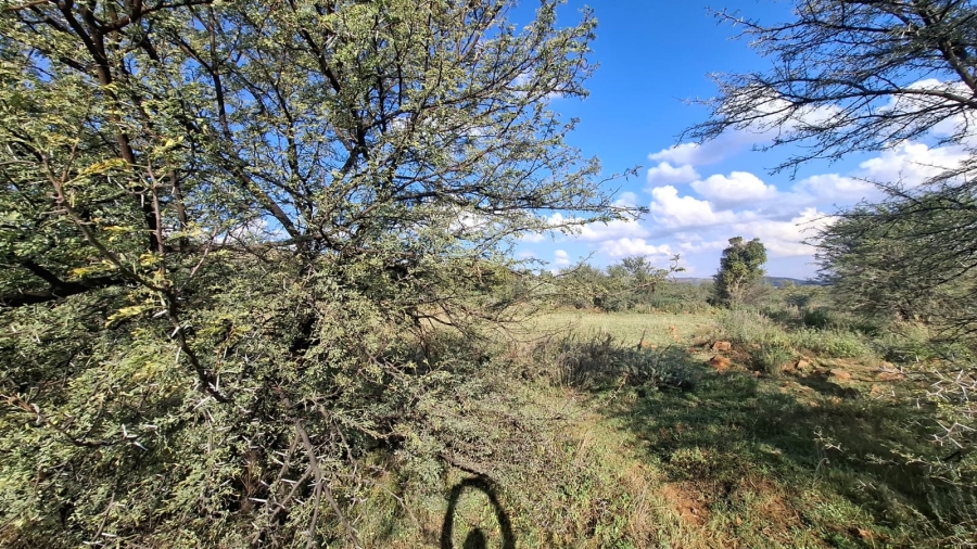 Commercial Property for Sale in Blesboklaagte Gauteng
