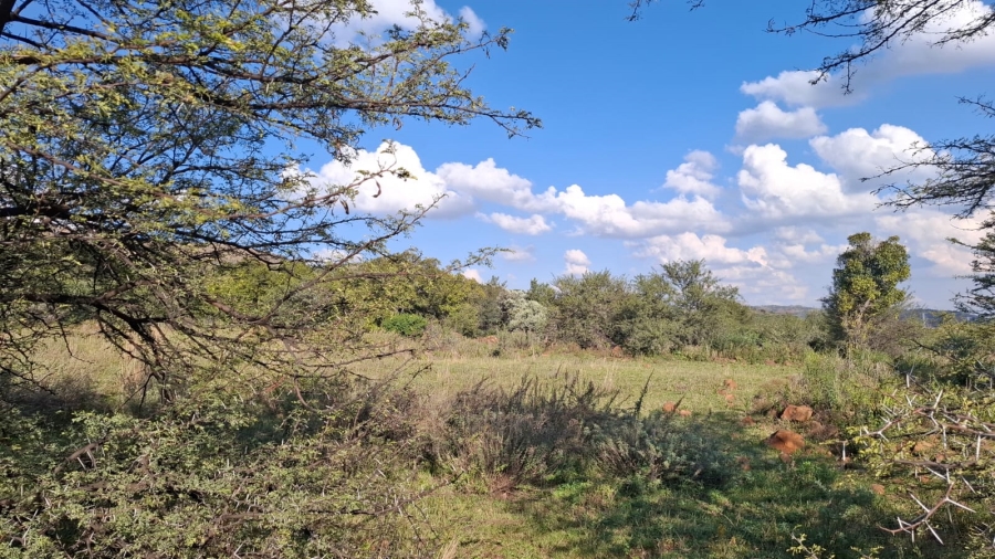 Commercial Property for Sale in Blesboklaagte Gauteng
