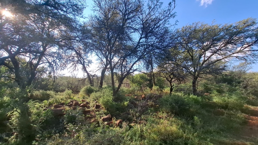 Commercial Property for Sale in Blesboklaagte Gauteng