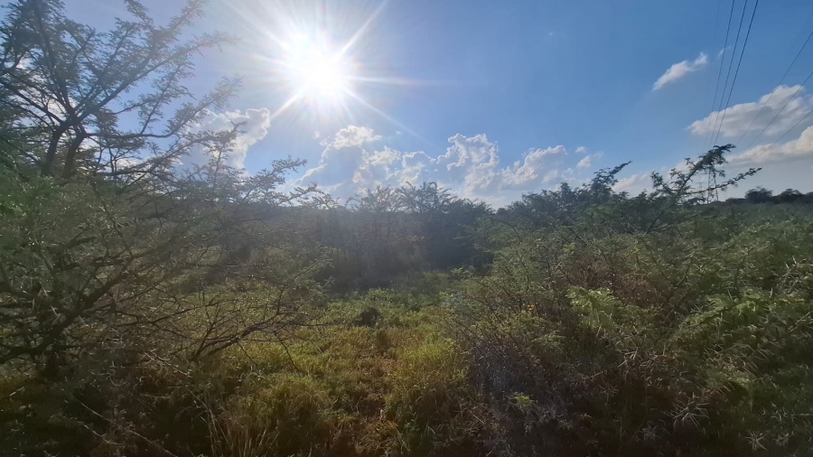 Commercial Property for Sale in Blesboklaagte Gauteng