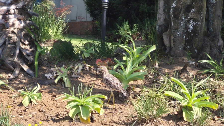 2 Bedroom Property for Sale in Kengies Gauteng