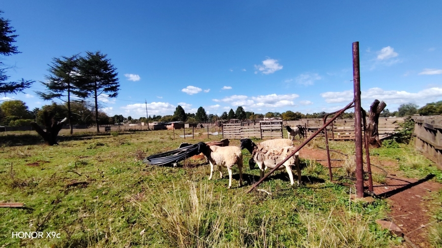 Commercial Property for Sale in Glen Donald A H Gauteng