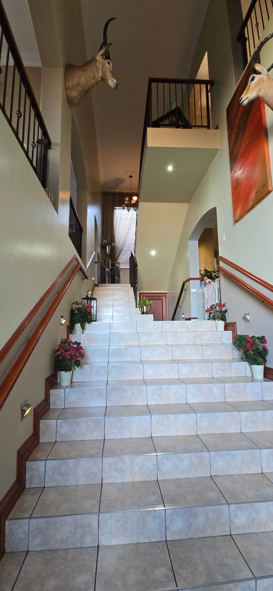 To Let 5 Bedroom Property for Rent in Meyersdal Gauteng