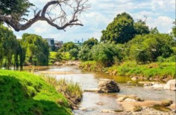 Commercial Property for Sale in Fourways Gauteng