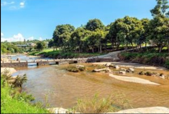 Commercial Property for Sale in Fourways Gauteng