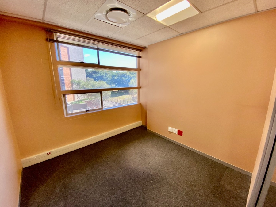 To Let Commercial Property for Rent in Arcadia Gauteng