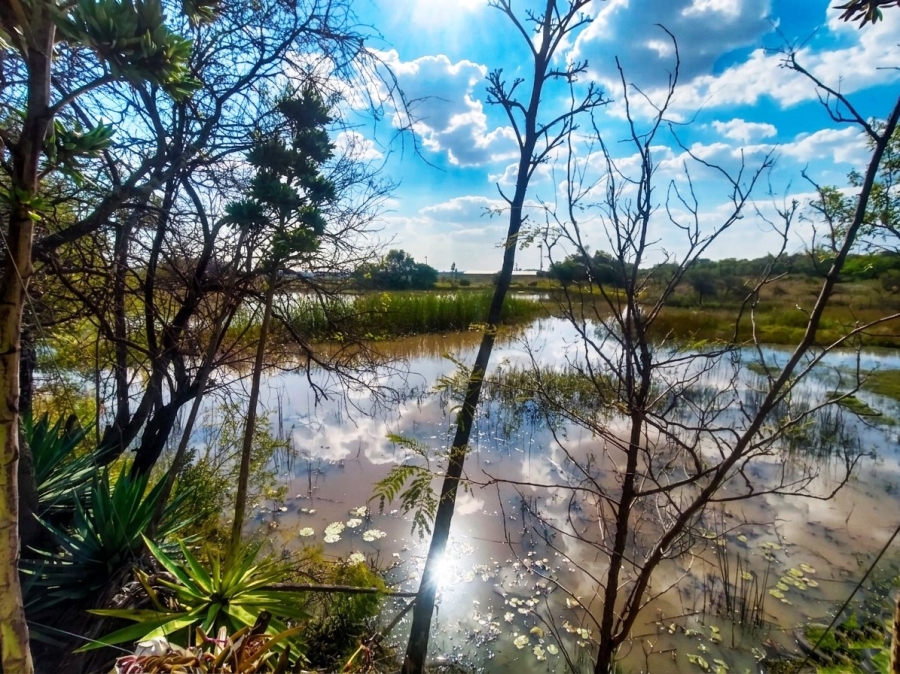 Commercial Property for Sale in Roodeplaat Gauteng