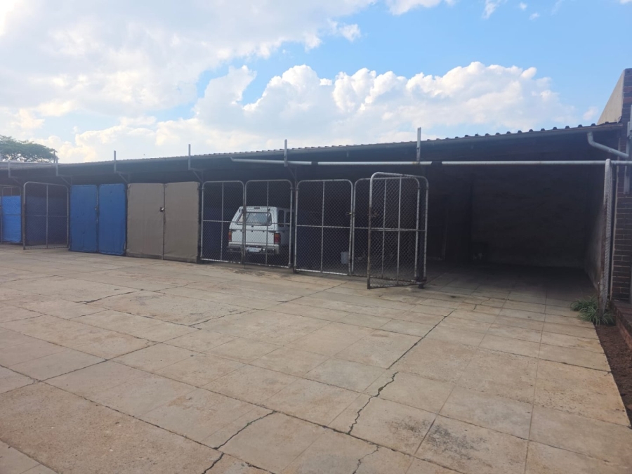 To Let 2 Bedroom Property for Rent in Primrose Gauteng