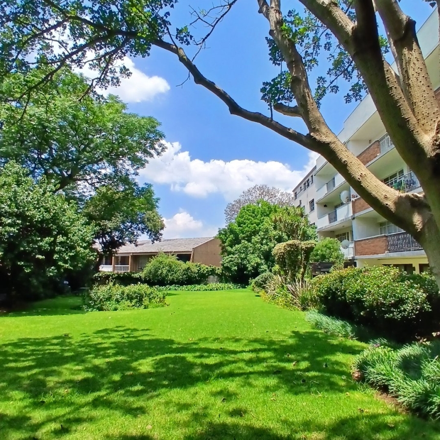 To Let 3 Bedroom Property for Rent in Illovo Gauteng