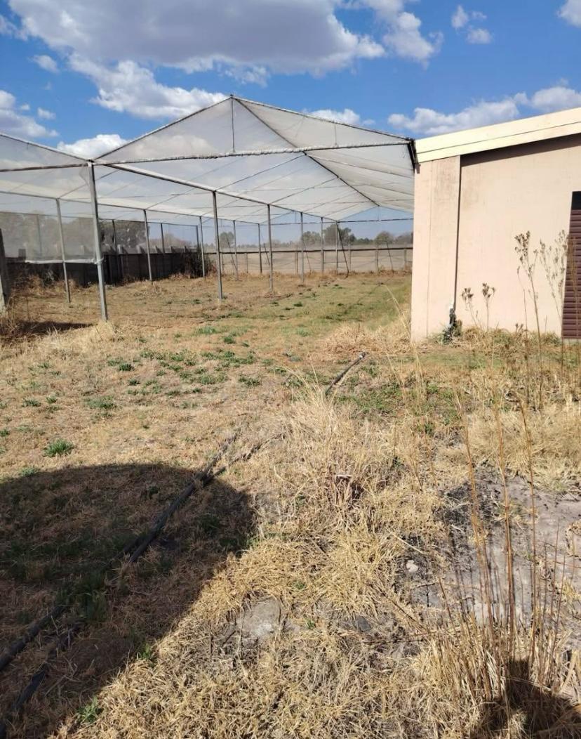 4 Bedroom Property for Sale in Sonland Park Gauteng