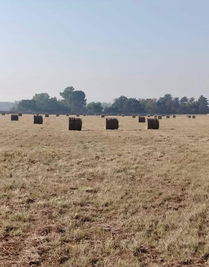 4 Bedroom Property for Sale in Sonland Park Gauteng