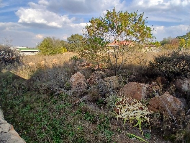Commercial Property for Sale in Vaaloewer Gauteng