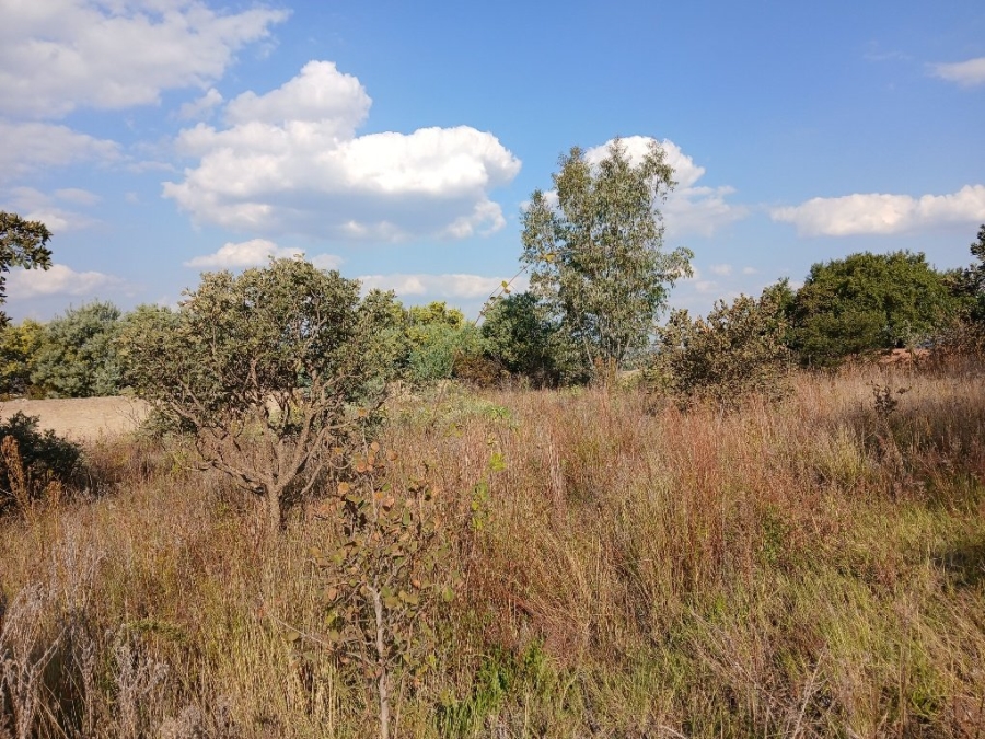 Commercial Property for Sale in Vaaloewer Gauteng
