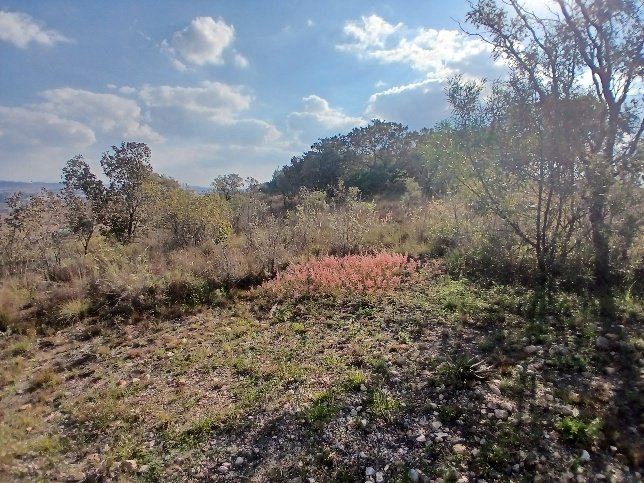 Commercial Property for Sale in Vaaloewer Gauteng
