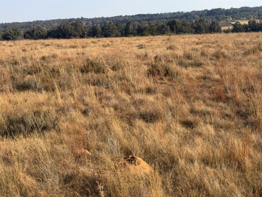 Commercial Property for Sale in Walker Fruit Farms Gauteng