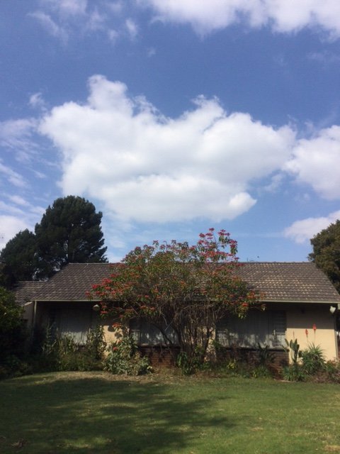 4 Bedroom Property for Sale in Fairland Gauteng