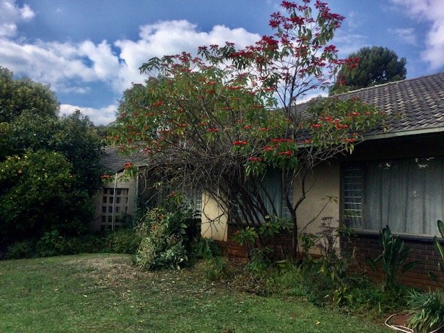 4 Bedroom Property for Sale in Fairland Gauteng
