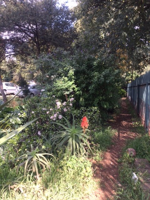 4 Bedroom Property for Sale in Fairland Gauteng