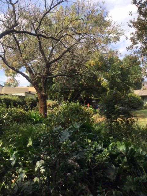 4 Bedroom Property for Sale in Fairland Gauteng