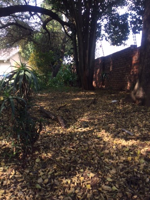 4 Bedroom Property for Sale in Fairland Gauteng