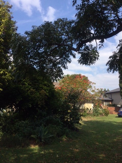 4 Bedroom Property for Sale in Fairland Gauteng