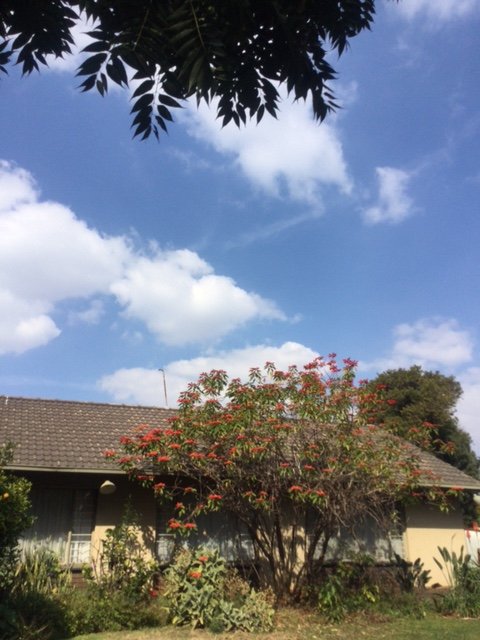 4 Bedroom Property for Sale in Fairland Gauteng