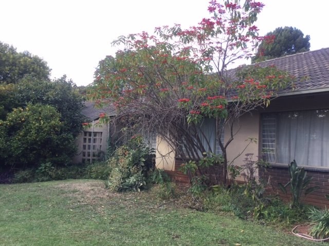 4 Bedroom Property for Sale in Fairland Gauteng