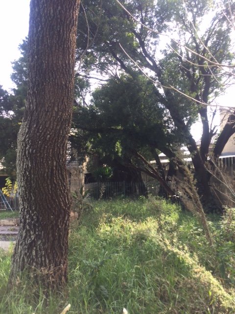 4 Bedroom Property for Sale in Fairland Gauteng