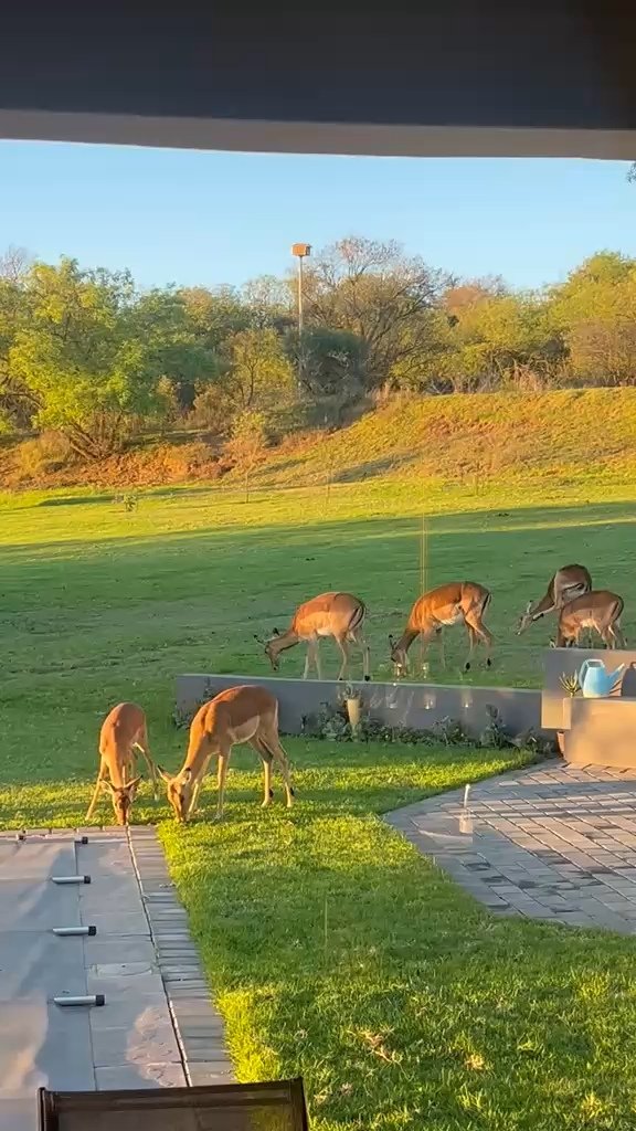 5 Bedroom Property for Sale in Boschkop A H Gauteng