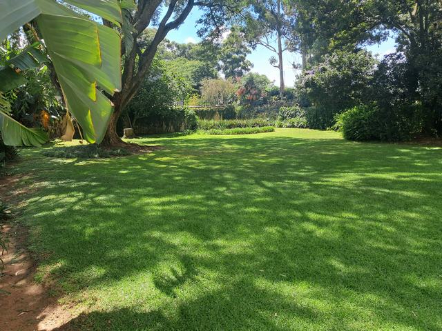  Bedroom Property for Sale in Illovo Gauteng
