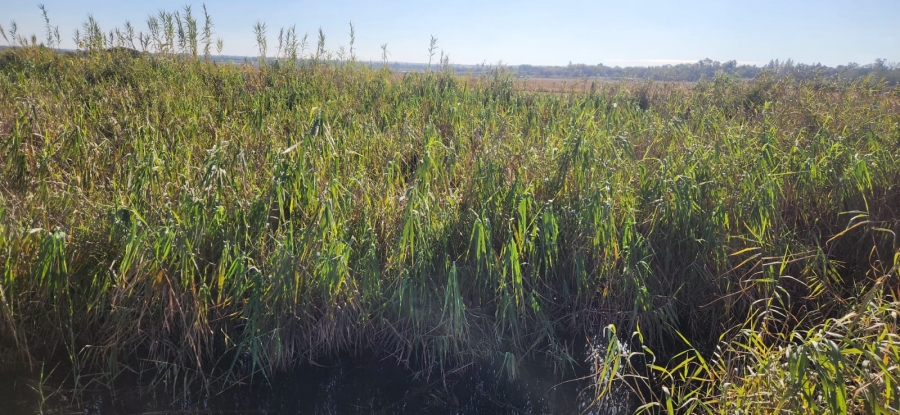 Commercial Property for Sale in Pretoria North Gauteng