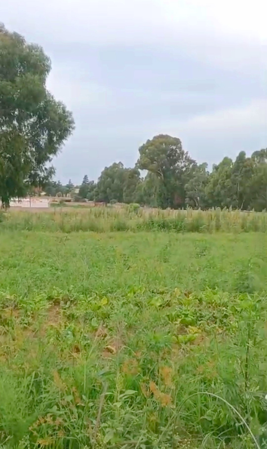 Commercial Property for Sale in Homestead Apple Orchards Gauteng