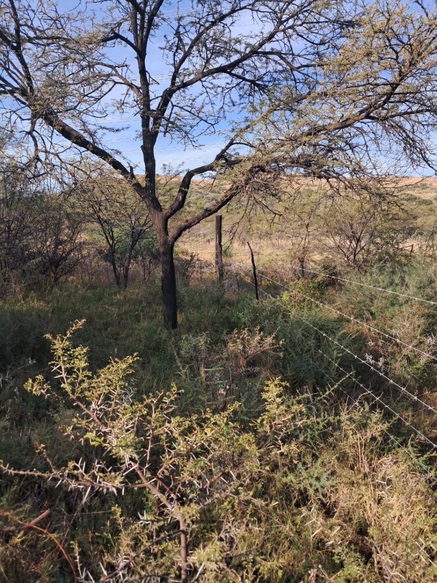 Commercial Property for Sale in Blesboklaagte Gauteng