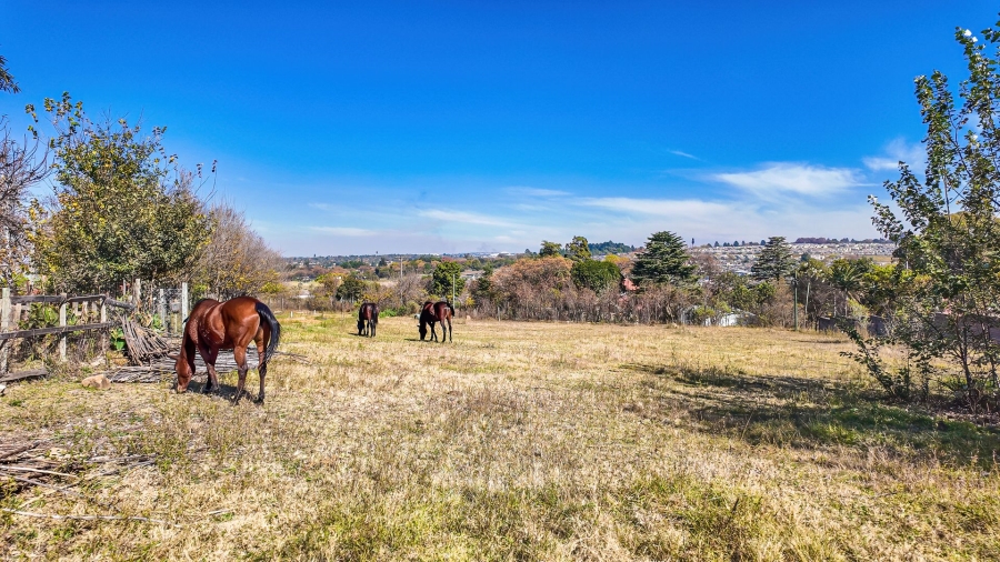 Commercial Property for Sale in Chartwell Gauteng