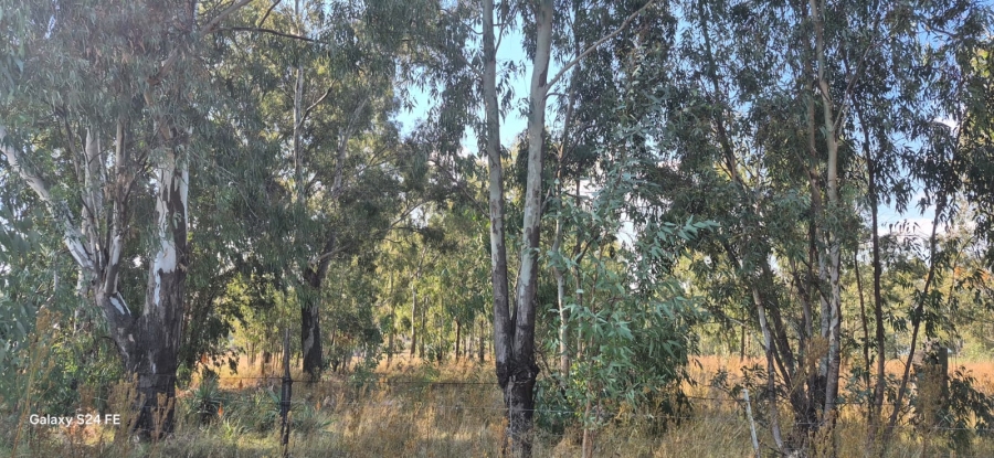 Commercial Property for Sale in Vaal Marina Gauteng