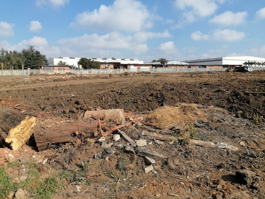 To Let Commercial Property for Rent in Pomona Gauteng