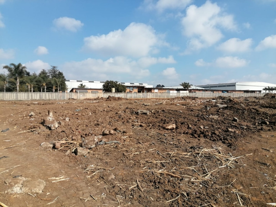 To Let Commercial Property for Rent in Pomona Gauteng